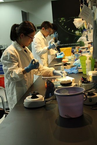 我校生物医学研究院科研人员发现基因活性调控新机制