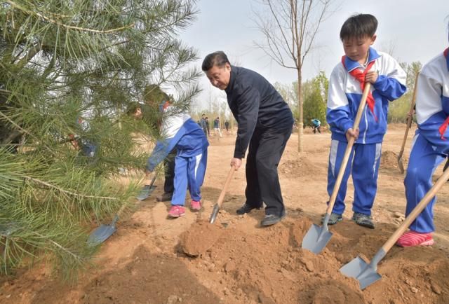 习近平建设绿色家园是人类的共同梦想