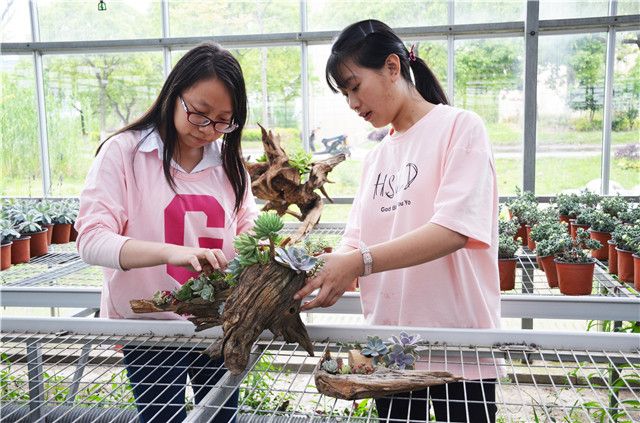 “艺”育桃李 “林”树栋梁 ——记芜湖职业技术学院园林园艺学院校内实训基地