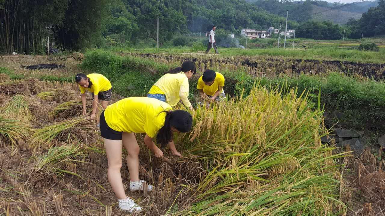 外国语学院师生党员赴封开农村开展教育实践活动