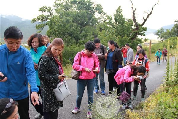 我校承办全国中药特色技术传承人才培训项目培训班