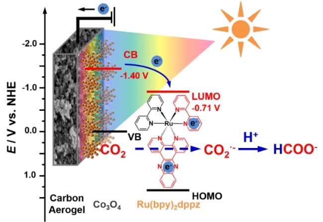 同济教授高效仿生光电催化选择性还原CO2研究取得重要进展