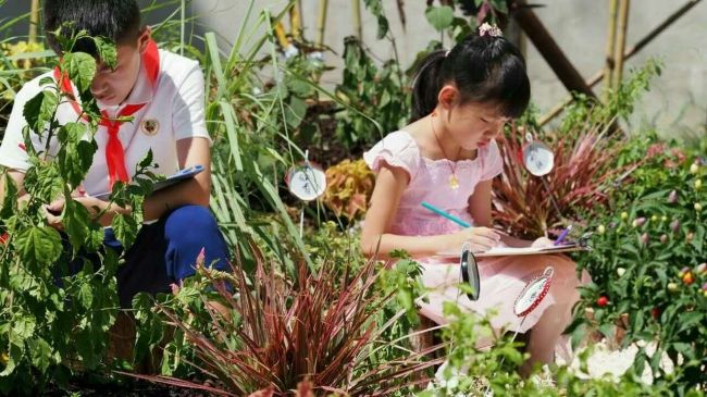 同济大学附属实验中小学迎首届新生