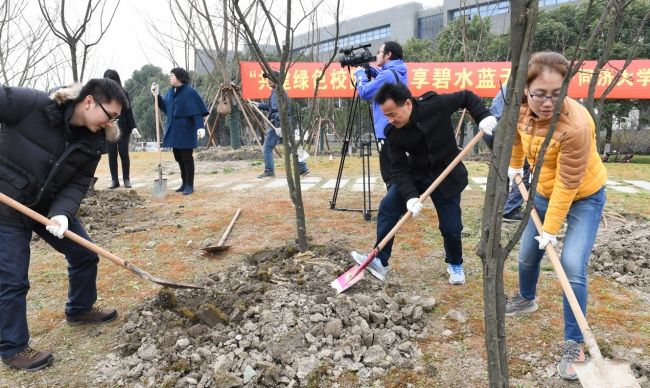 后勤集团党员开展任务植树运动