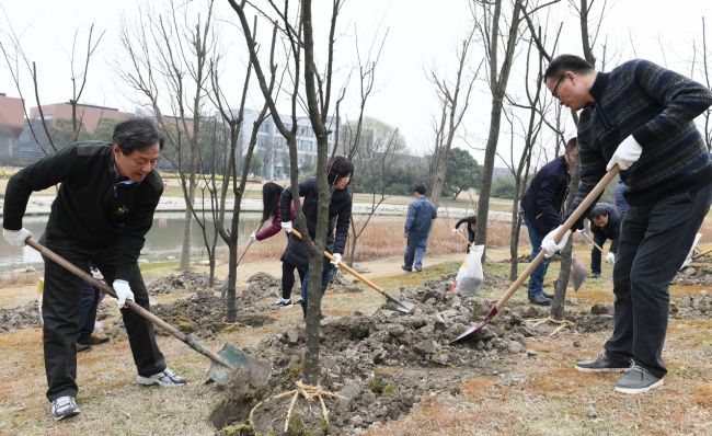 后勤集团党员开展任务植树运动